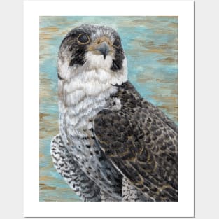 The Guardian - Peregrine Falcon Posters and Art